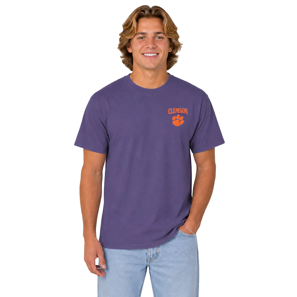 Clemson Comfort Colors Tiger Stadium Tee - Image 6